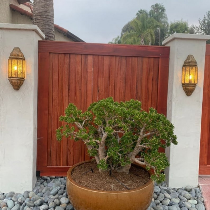 BRASS WALL SCONCE, AHLAM