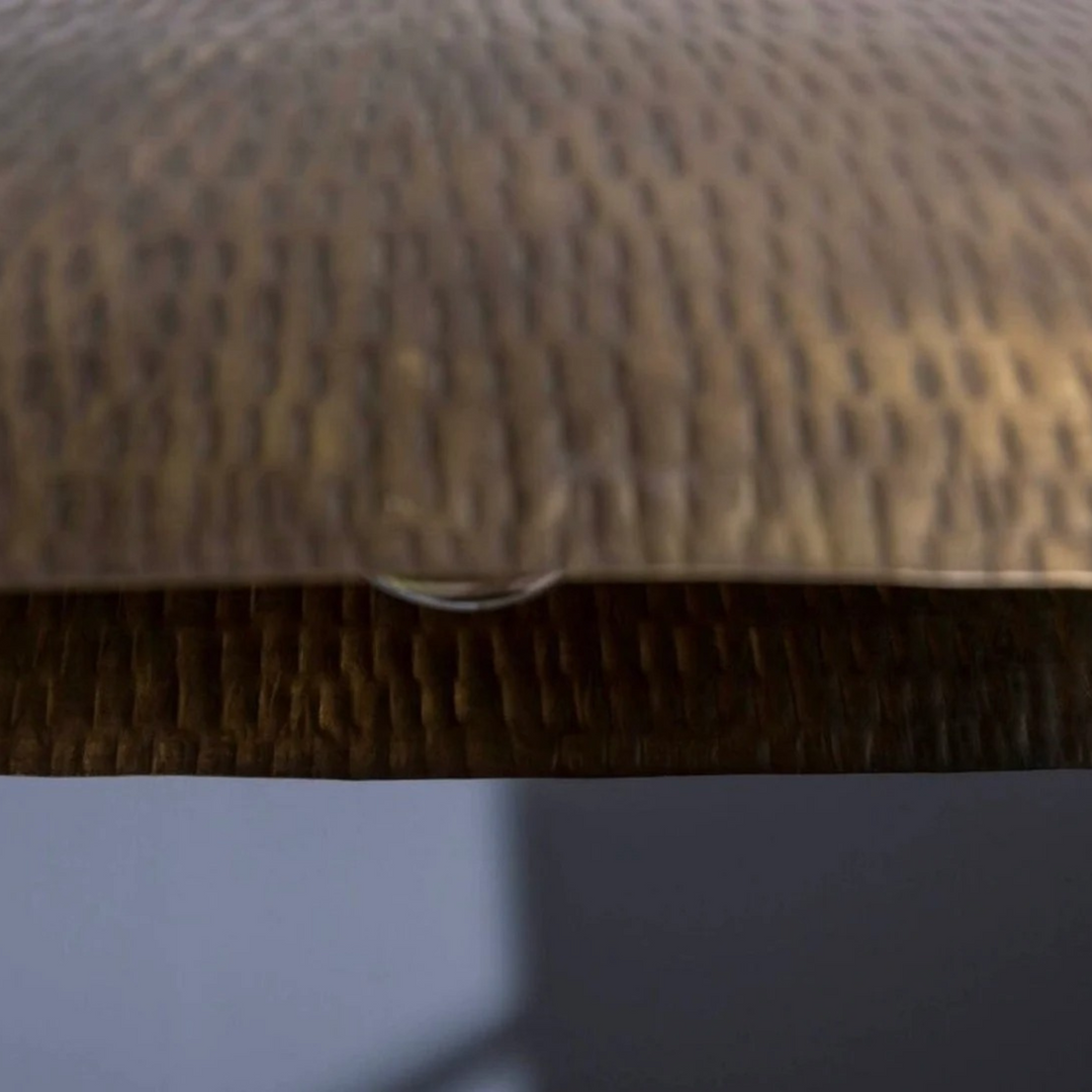BRASS LEAF CEILING LIGHT, HAMMERED BRONZE