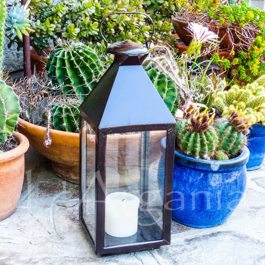 Outdoor glass light with artisan frame designed for pool areas, patios, and hotel courtyards.